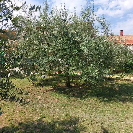 Apartamento Marija Umag