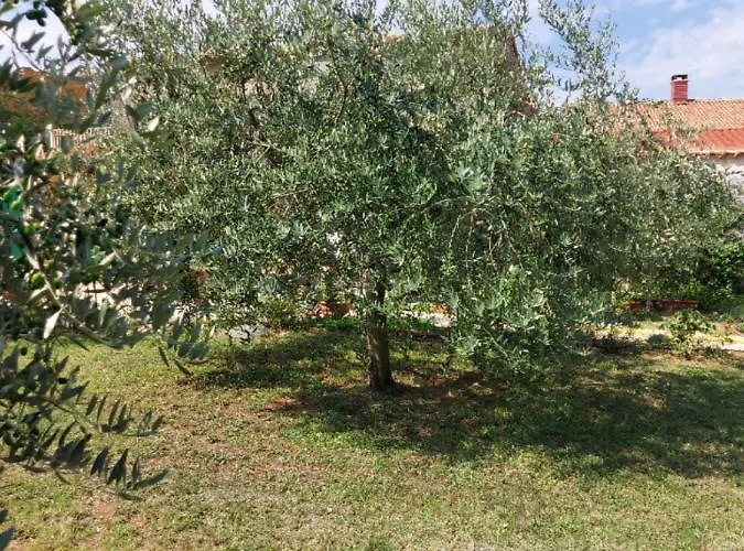 Apartman Apartments Marija Umag