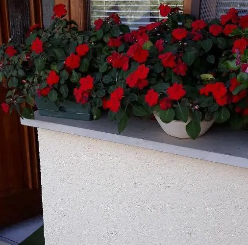 Apartments Marija Apartman Umag